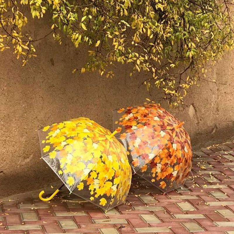 چتر شیشه ایی طرح پاییز